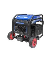 060040 tss sgg 5000ei
